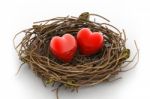 Love Heart And Nest Stock Photo
