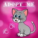 Adopt Cat Indicates Adoption Felines And Pet Stock Photo