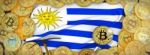 Bitcoins Gold Around Uruguay  Flag And Pickaxe On The Left.3d Il Stock Photo