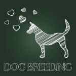 Dog Breeding Shows Breeder Pet And Offspring Stock Photo