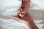 Baby's Hand Hold By Mother Hand Closeup Stock Photo