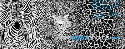 Background With Zebra, Leopard And Giraffe Stock Image