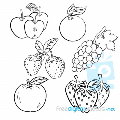 Set Of Different Hand Drawn Fruits- Sketch Design Stock Image - Royalty