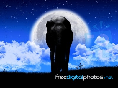 Silhouette Elephant Stock Photo