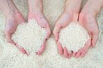 Rice In Hand Stock Photo