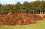 Manure Stock Photo