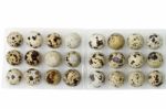 Raw Quail Eggs Stock Photo