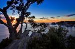 Sunrise At Te Pare Point Stock Photo