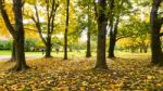 Autumn Season In Russia Moscow Stock Photo