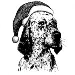 English Setter Dog With Christmas Santa Hat Stock Photo