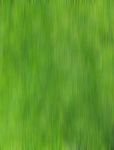 Green Grass Motion Blur Stock Photo