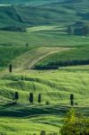 Countryside Of Val D'orcia Near Pienza In Tuscany Stock Photo