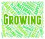 Growing Word Means Sow Cultivate And Farm Stock Photo