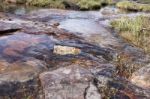 Lagoon In National Park Stock Photo