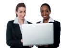 Business Women Working On Laptop Stock Photo