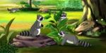 Family Of Raccoons In The Spring Forest Stock Photo