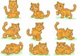 Cute Kittens On White Background  Stock Photo