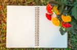 Notebook And Flower Stock Photo