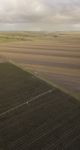 Cotton Field In The Countryside Stock Photo