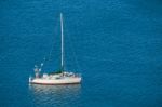 Sailboat Stock Photo