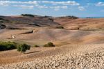 Tuscany Stock Photo