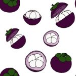 Mango-teen Seamless Pattern By Hand Drawing On White Backgrounds Stock Photo