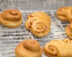 Fresh Made Cinnamon Rolls Stock Photo