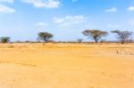 Landscape Near Laisamis, Kenya Stock Photo