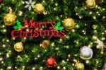 Merry Christmas Sign On The Tree Stock Photo