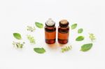 Holy Basil Essential Oil In A Glass Bottle With Fresh Holy Basil Stock Photo