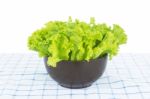 Green Lettuce Stock Photo