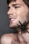 Portrait Of A Young Handsome Man With Spider On His Face Stock Photo