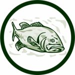 Largemouth Bass Fish Front Side Circle Cartoon Stock Photo