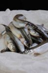 Fresh Capelin Stock Photo