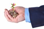 Young Sprout With Flower Grows From A Heap Of British Pound Ster Stock Photo