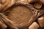 Malt Still Life Rope Flax Frame Sackcloth Background Stock Photo