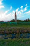 Venice Burano Mazorbo Vineyard Stock Photo