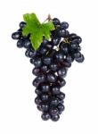 Fresh Grape Isolated On The White Back Ground Stock Photo