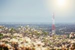 Soft Focus Telecommunication Tower With Blur Flower Foreground Stock Photo