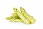 White Asparagus Isolated Stock Photo