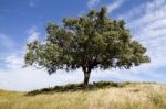 Rural Countryside Stock Photo