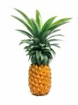 Pineapple Stock Photo