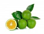 Citrus Sinensis Isolated On The White Background Stock Photo