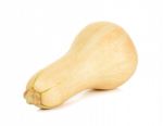 Butternut Squash Isolated Stock Photo