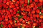 Lychee Fruits Stock Photo