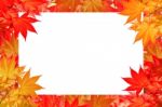 Red Maple Leaves Of Colorful Autumn With Space For Text Or Symbol Stock Photo