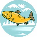 Brown Trout Jumping Circle Cartoon Stock Photo