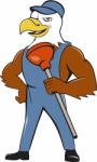 Bald Eagle Plumber Plunger Isolated Cartoon Stock Photo