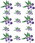 Huckleberry Pattern 2 Stock Photo