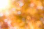 Abstract Soft Blurred Bokeh Yellow Background Stock Photo